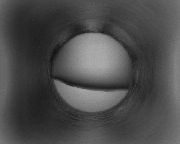 X0000096980595200802080901