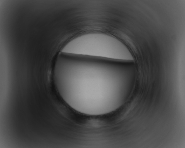 X0000096980596200802080901