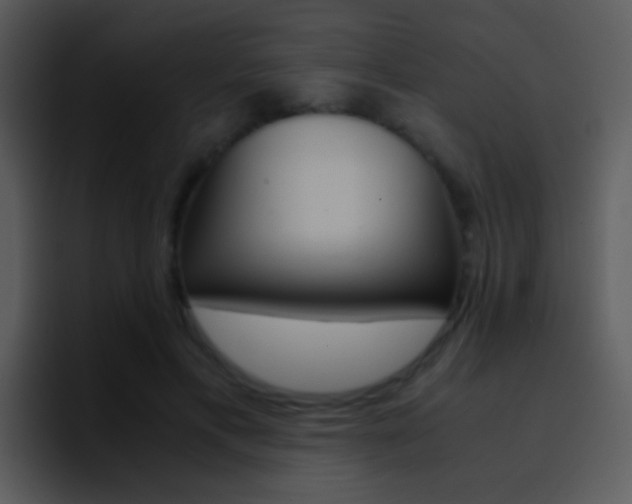 X0000096980597200802080901