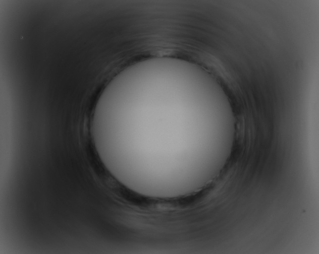 X0000096980598200802080901