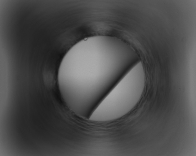 X0000096980599200802080901