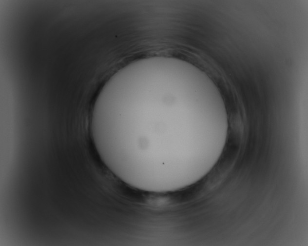 X0000096980602200802080901