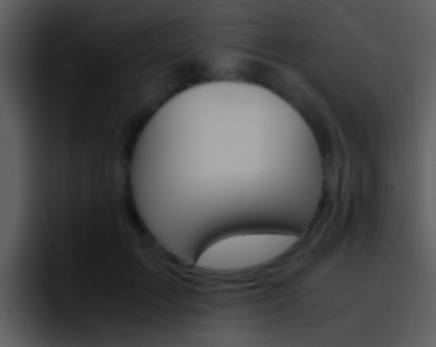 X0000096980603200802080901