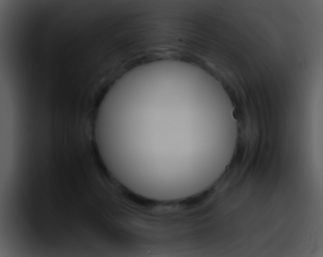 X0000096980606200802080901