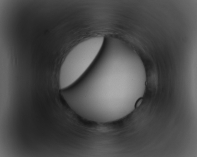 X0000096980608200802080901