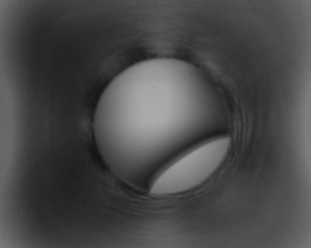 X0000096980609200802080901