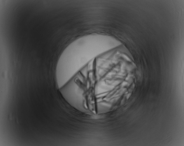 X0000096980611200802080901