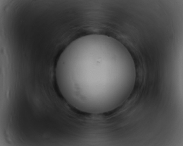 X0000096980612200802080901