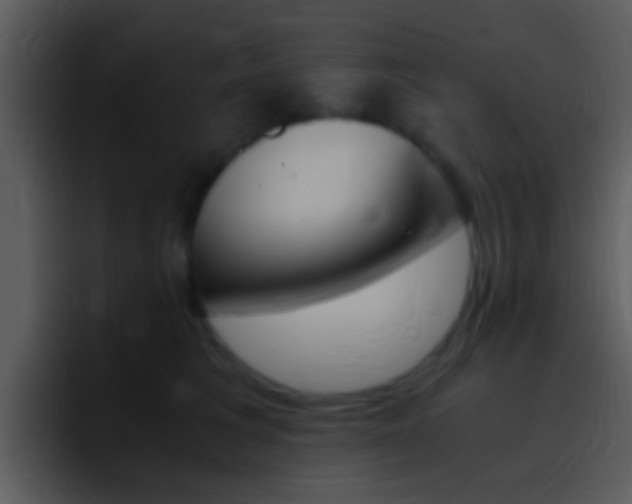 X0000096980613200802080900