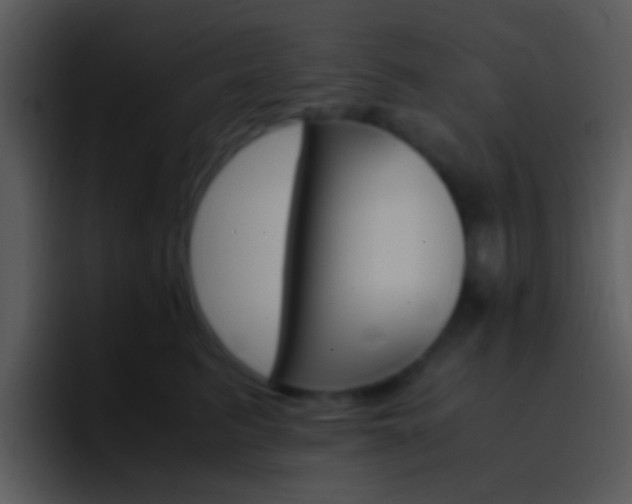 X0000096980615200802080900