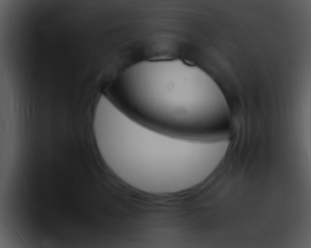 X0000096980617200802080900