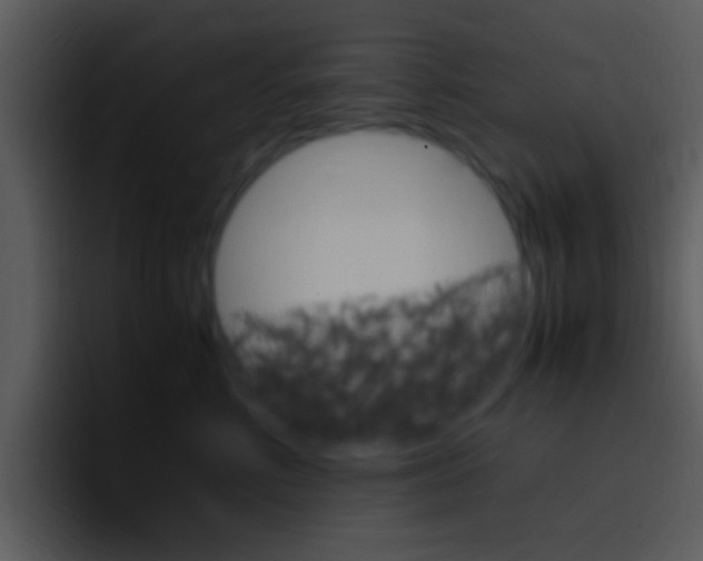 X0000096980618200802080900