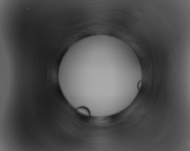 X0000096980622200802080900