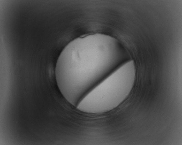 X0000096980623200802080900