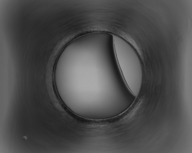 X0000096980625200802080900