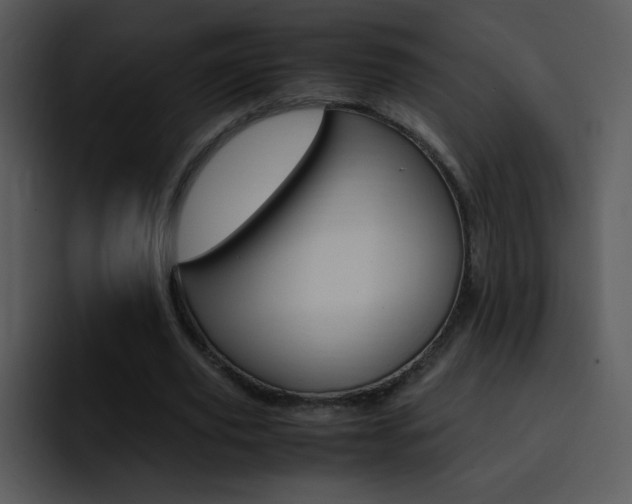 X0000096980629200802080900