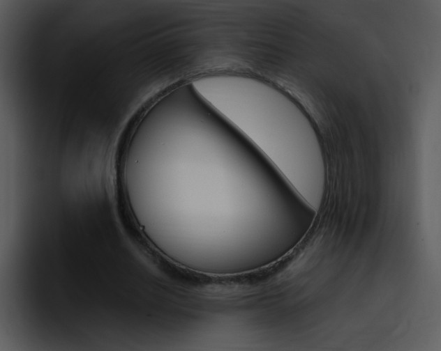 X0000096980630200802080900