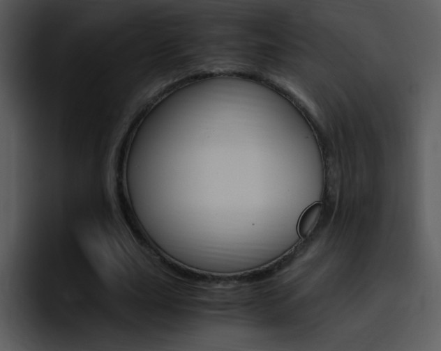 X0000096980631200802080900