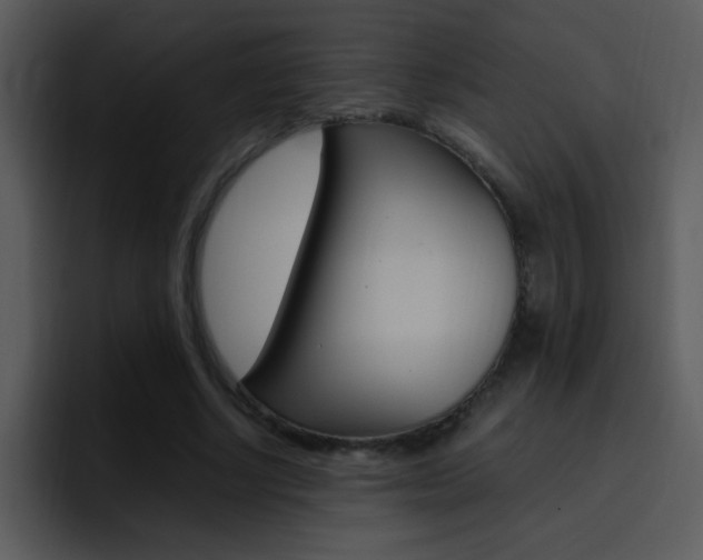 X0000096980634200802080900