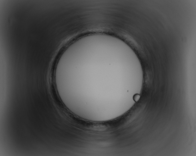 X0000096980636200802080900