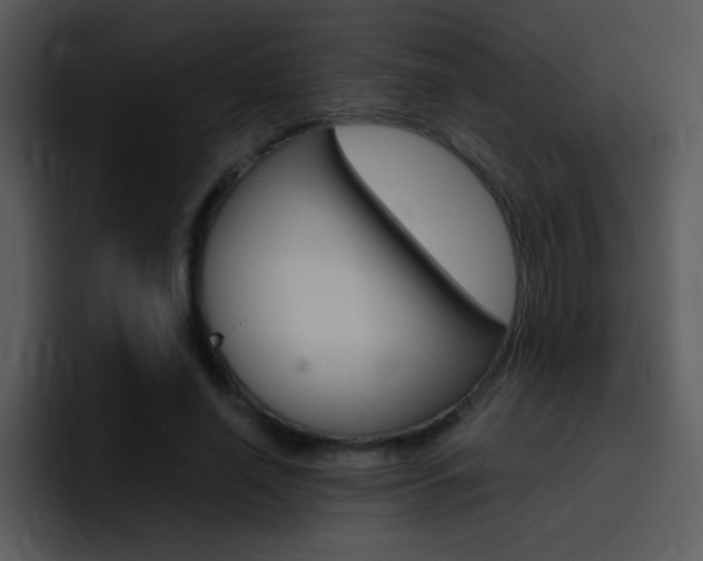 X0000096980638200802080900