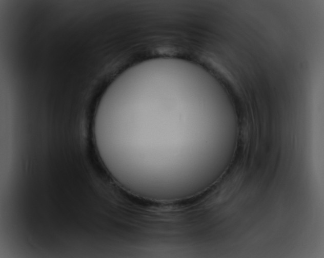 X0000096980639200802080900