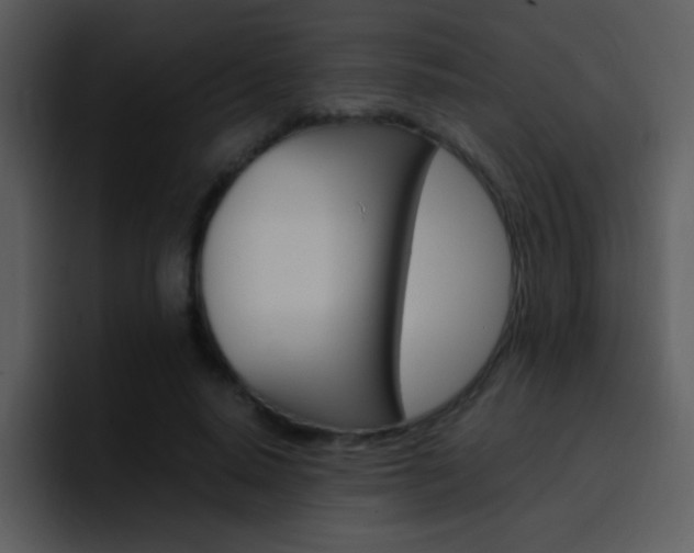X0000096980640200802080900