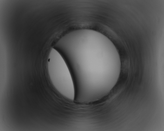 X0000096980644200802080900