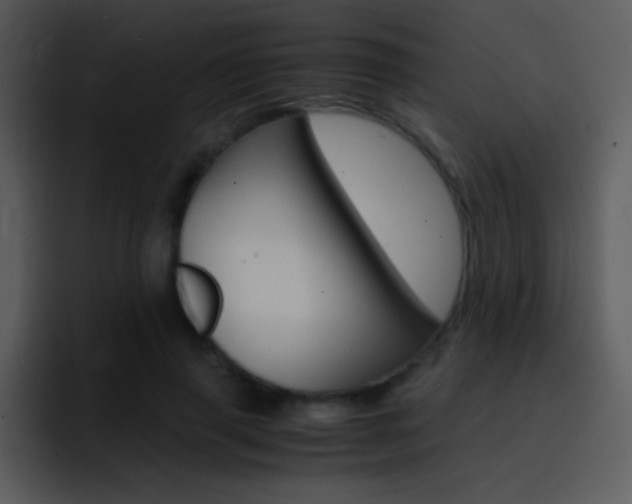 X0000096980645200802080900