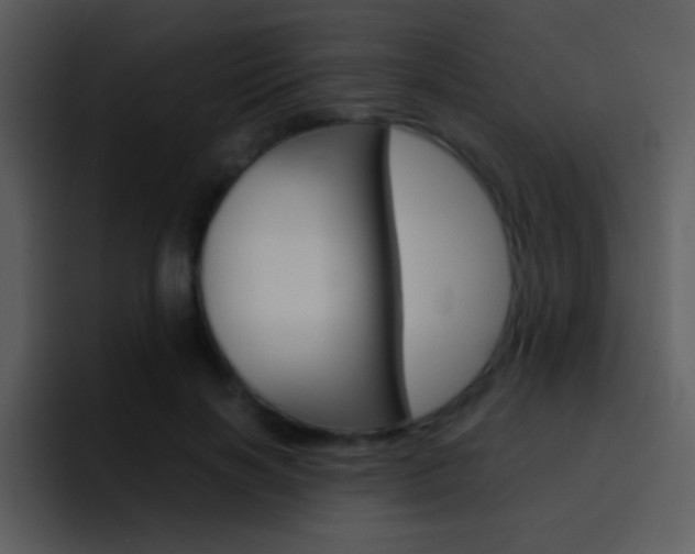 X0000096980646200802080900