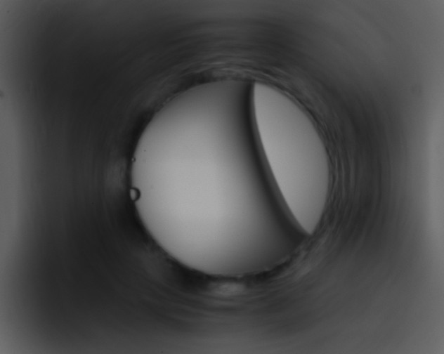 X0000096980649200802080900