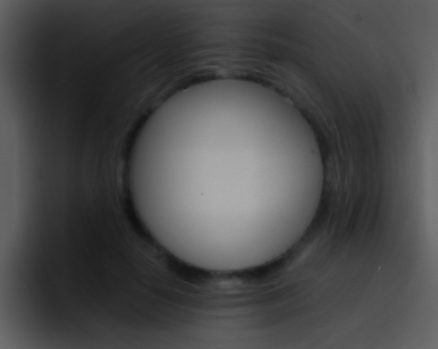 X0000096980650200802080900