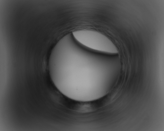 X0000096980651200802080900