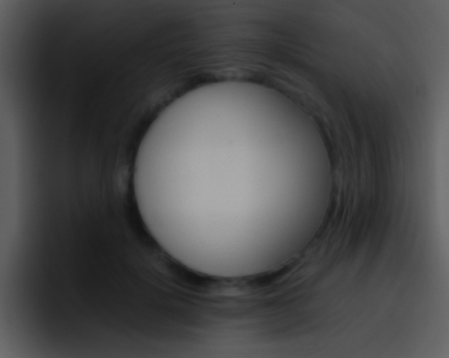 X0000096980652200802080900