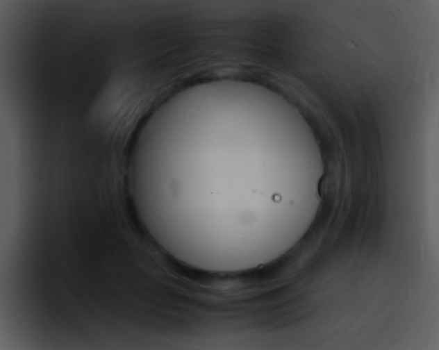 X0000096980653200802080900
