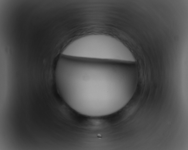 X0000096980654200802080900