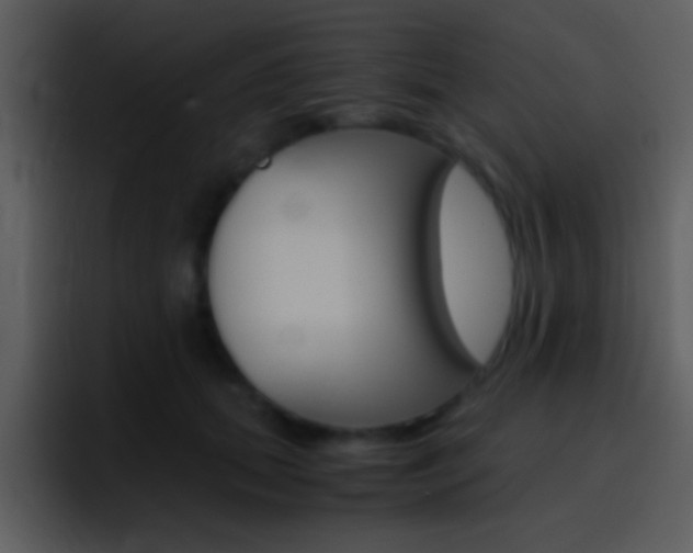 X0000096980655200802080900