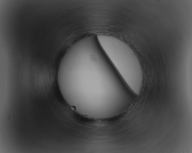 X0000096980656200802080900