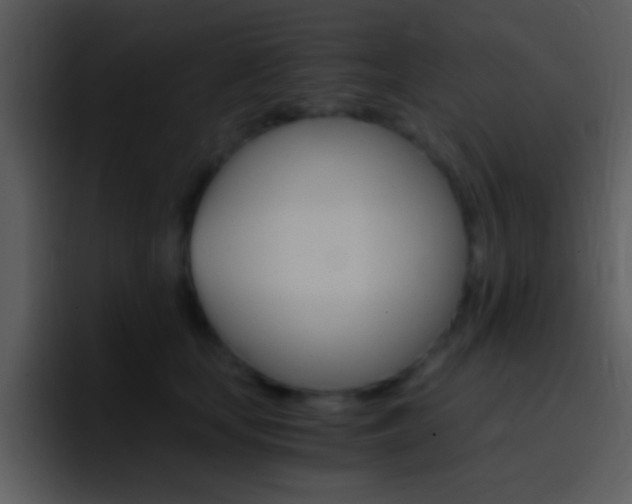 X0000096980659200802080900