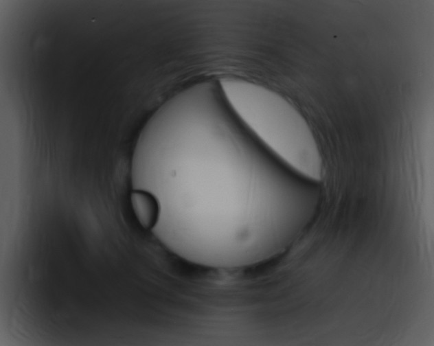 X0000096980660200802080900