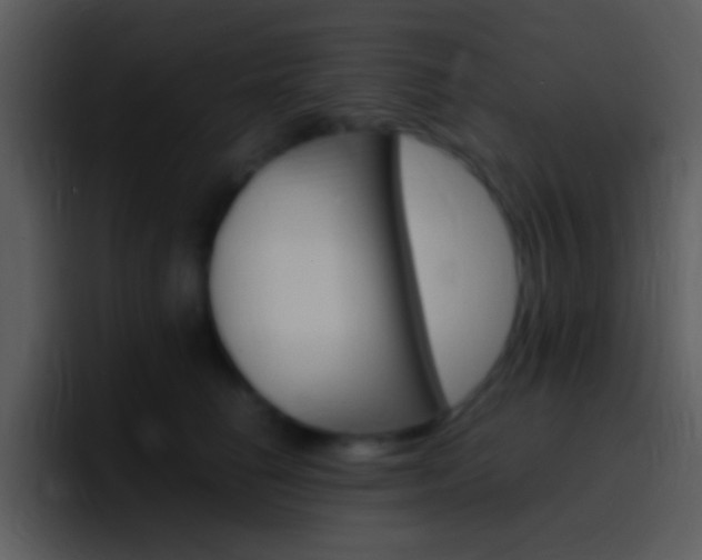 X0000096980662200802080900