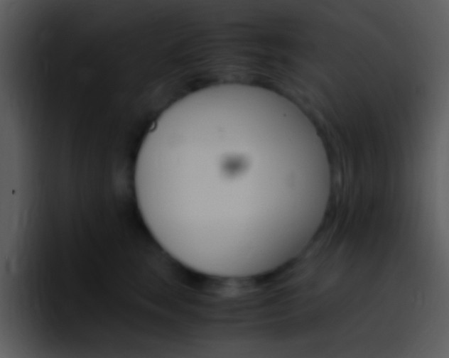 X0000096980663200802080900