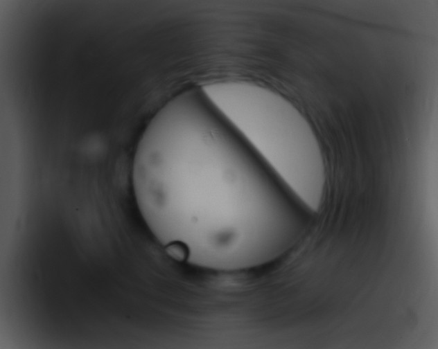 X0000096980664200802080900