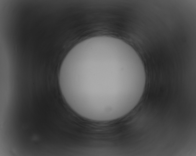 X0000096980665200802080900