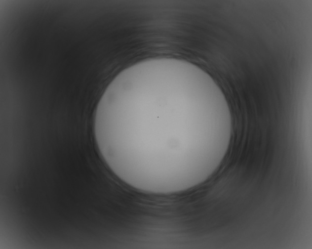X0000096980666200802080900