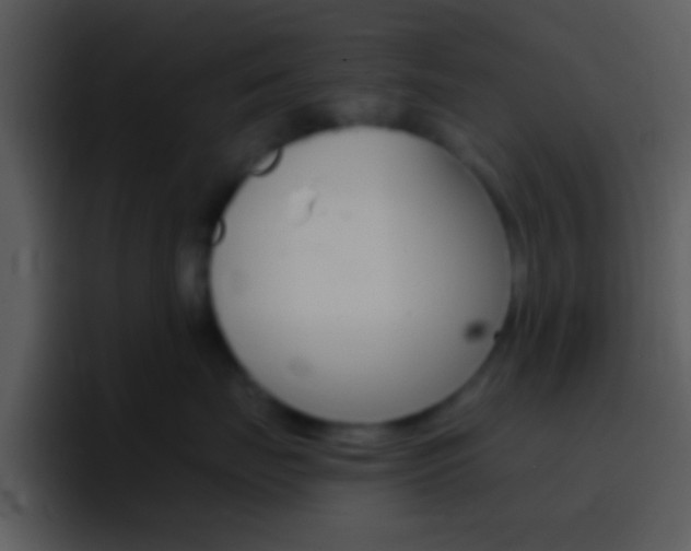 X0000096980671200802080900