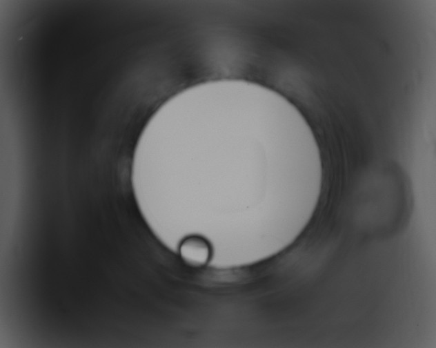 X0000096980672200802080900