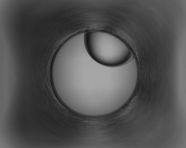 X0000096980673200802080900