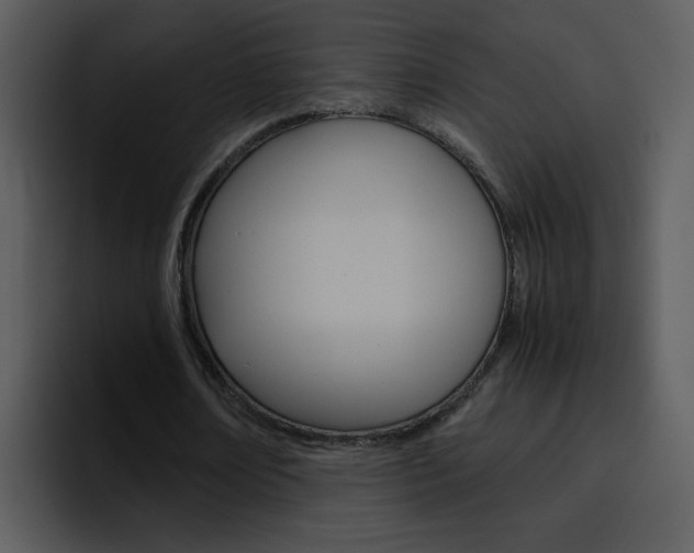 X0000096980674200802080900