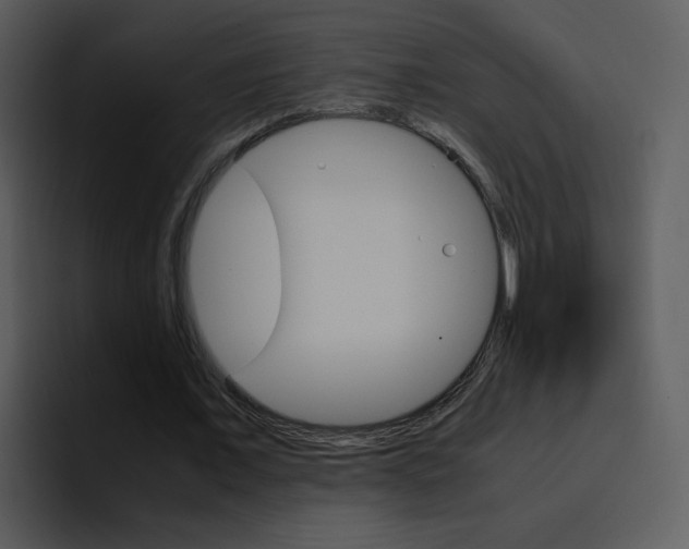 X0000096980675200802080900